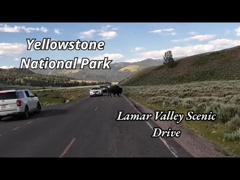 Yellowstone National Park - Lamar Valley Scenic Drive