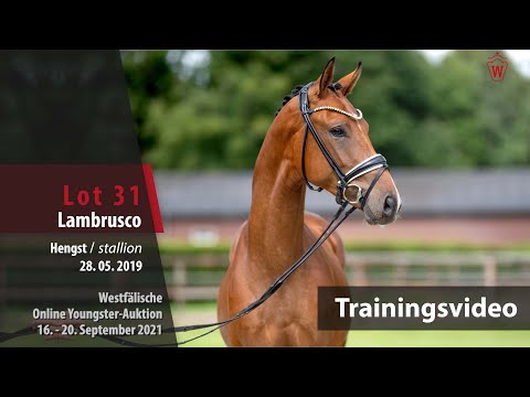 35. Westf. Online-Auktion 2nd Chance – Trainingsvideo Lot 4 Lambrusco v. Le Vivaldi/Prestige Pilot