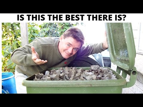 Hungry Bin Worm Farm Review After TWO YEARS USE!