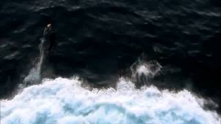 Dupini na sjevernom Atlantiku / Dolphins on N Atlatic