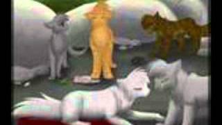 Warriors-Stand In The Rain (READ DESCRIPTION!!!)