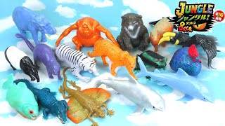 【ジャングル&co.】全16種類を開封〜！！【デアゴスティーニ】