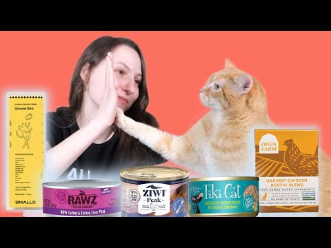 Top 10 Best Wet Cat Foods in 2022 (We Tested Them All)