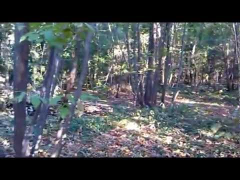 Real Mistery Lo gnomo armato di ascia 2012