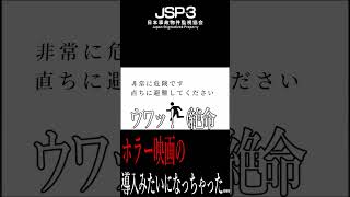 ホラー映画の導入みたいになっちゃった... #ホラゲー #shorts