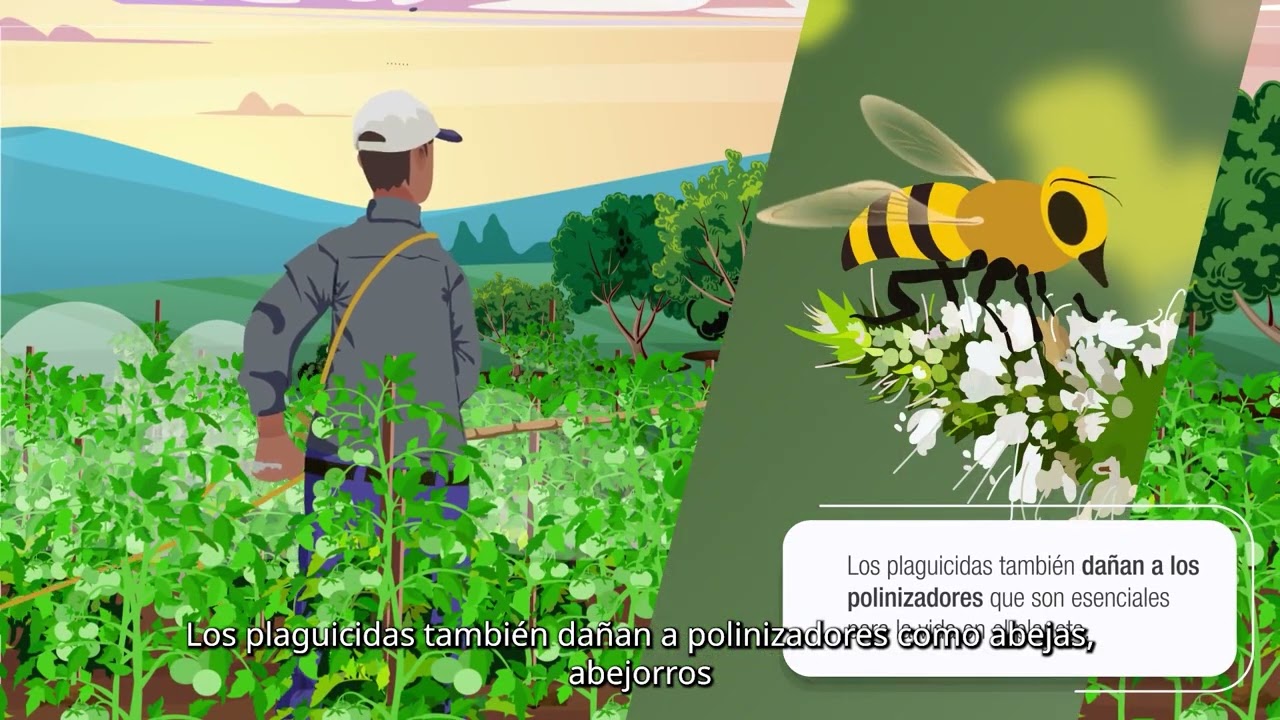 Uso responsable de plaguicidas