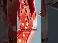 How Blood Clots Animation Biology