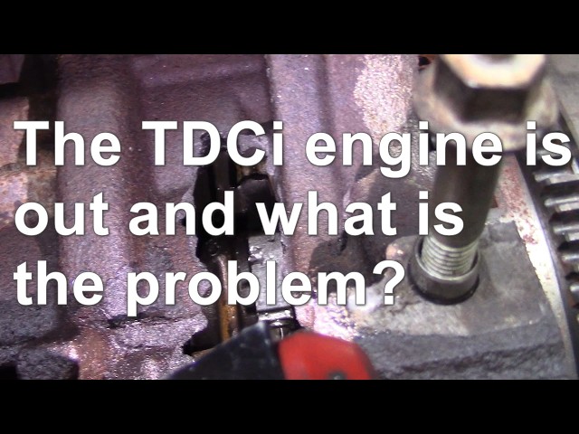 The Tdci Engine Is Out, And What Is The Problem? – Britannica Restorations Ltd