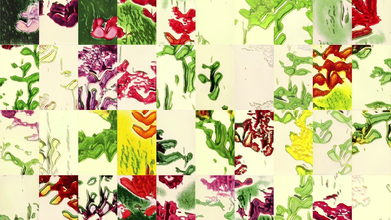 StyleGAN2 training steps from scratch