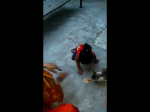 Daksh playing with cat