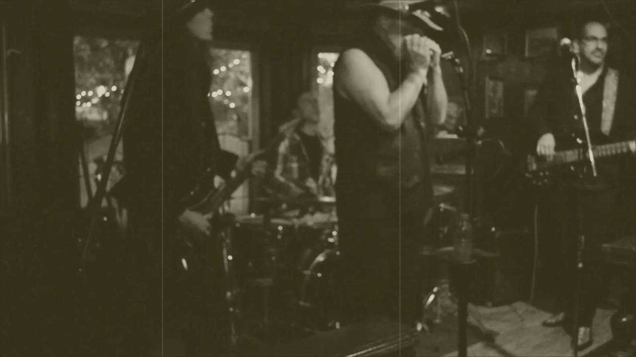 Promotional video thumbnail 2 for Blues Gator