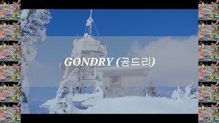 Hyukoh(혁오) - Gondry (공드리) [Romanji Lyrics]