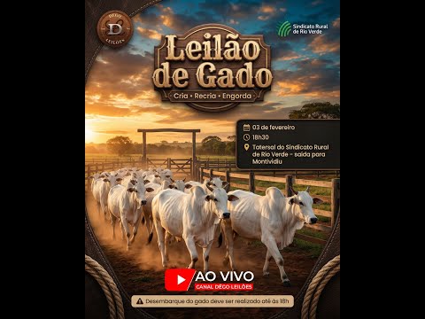LEILAO DE GADO  03 - 02 - 2026 - Sindicato Rural de Rio Verde - Dêgo Leilões
