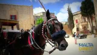 Malta Island Tour - the highlights