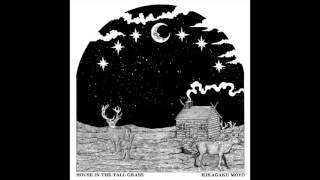 Kikagaku Moyo - Green Sugar