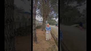 Download lagu emas hantaran mp3