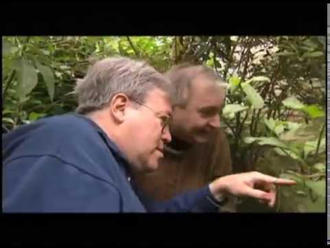 Noël Godin dans "Le Journal de Joseph M" (1999) de Gérard Courant