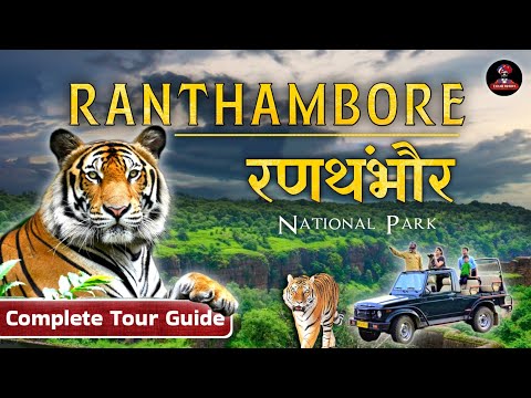 Ranthambore National Park Tour | Complete Travel Guide & Tiger Safari | Rajasthan Tourism
