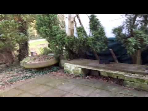 Gorgeous flatshare for rent - Steglitz-Zehlendorf, Berlin - Spotahome (ref 120536)