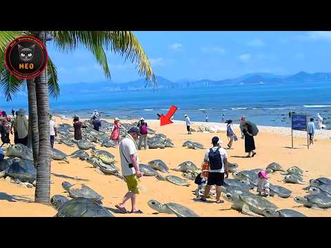 Momentos increíbles captados por la cámara | Lo mejor del mes #35