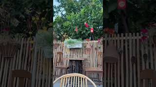 Dạ Mẹ ??‍♀️