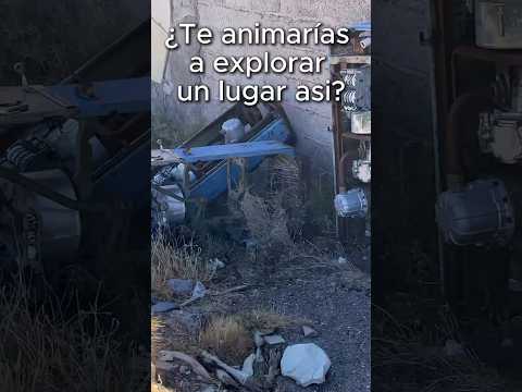 Sobre la ruta 3, entre Caleta Olivia y Puerto San Julián, me encontré con esto... #vanlife #viajeros