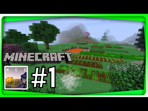 MC Eternal Let's Play Series Episode 1! PROPELLER HAT!