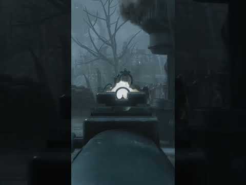 BO2 Panzer VS BO3 Panzer