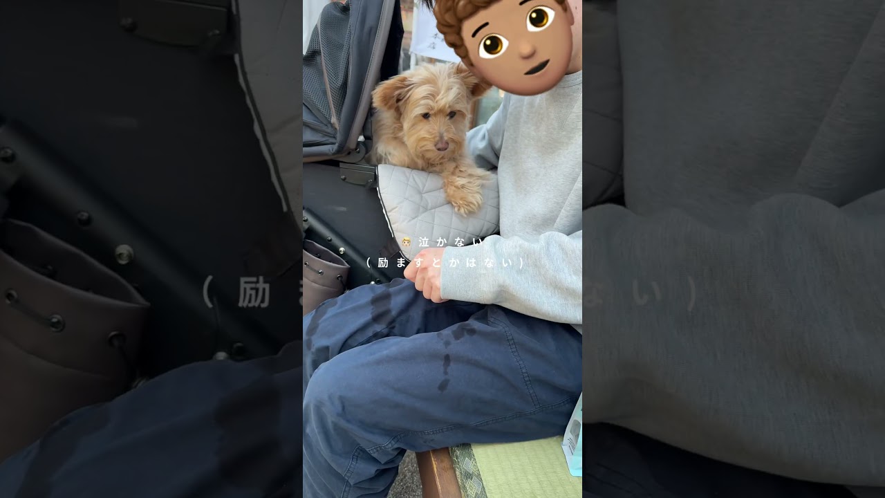 年下彼氏が涙した訳 #bl #カップル #ボーイフレンド