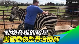 [問題] 有貓的整骨師嗎