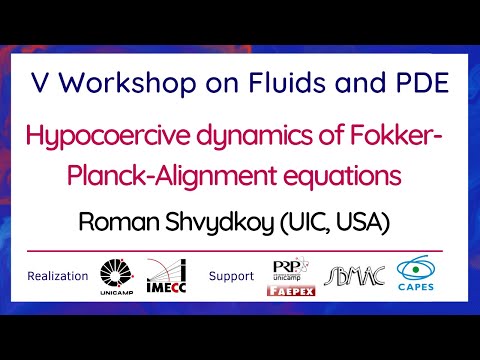 V Workshop on Fluids and PDE - September 30th, 2021 - Roman Shvydkoy
