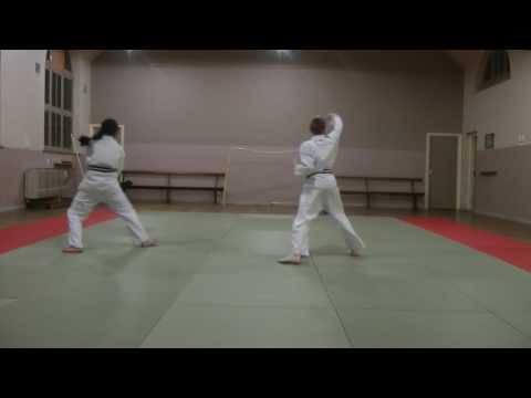 Kihon Nidan - 20 move Kihon Kata (No 2)