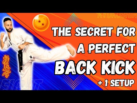 The RIGHT way to do a BACK KICK in KYOKUSHIN 👊🔥 (and combat sports)
