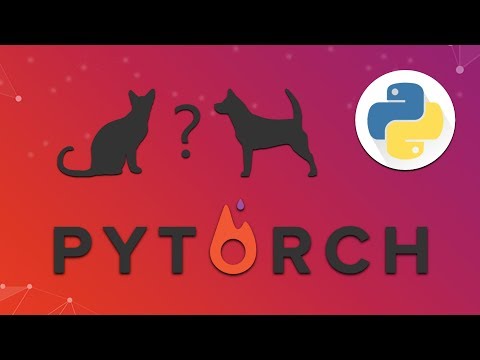 Pytorch Tutorial #16 - Cat or Dog? - The training
