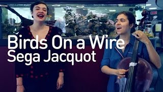 Birds on a Wire - Sega Jacquot