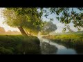 Peter White - Enchanted (feat. Ernie Watts) | Smooth Jazz Chill Out Lounge