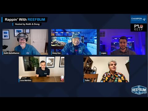 Rappin' With ReefBum: Guests Tullio Dellaquila, Luca Martino & Logan Vanghele; Deep Dive on Lighting