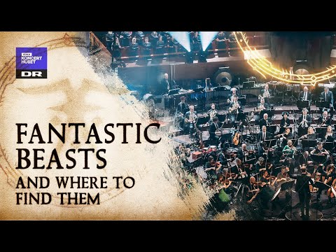 Fantastic Beasts and Where to Find Them   // Danish National Symphony Orchestra (Live)