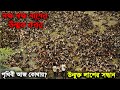 লক্ষ লক্ষ লাশের উন্মুক্ত কবর Open Grave 2013 Movie E