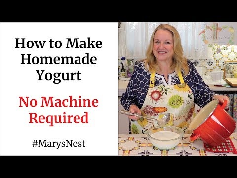 Homemade Yogurt