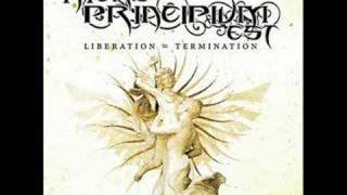 Mors Principium Est - Lost Beyond Retrieval