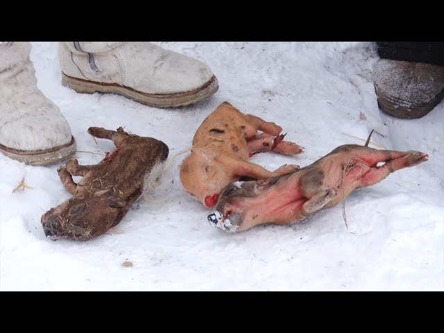 Морозы вынудили дачников обратиться в суд