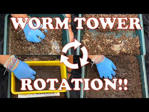 Harvest & Reset of VermiHut Worm Tower New Feeding Tray | Vermicompost Worm Farm