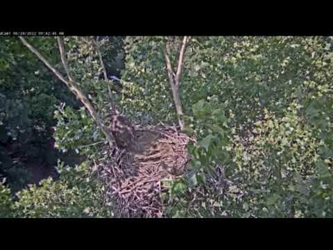 2022 06 24 BC 22 FlyBy 0945