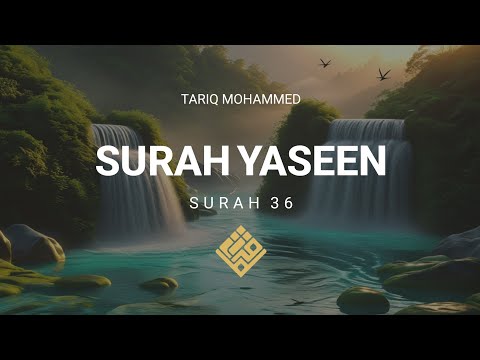 Surah Yaseen | Quran Recitation with English Captions | Surah 36
