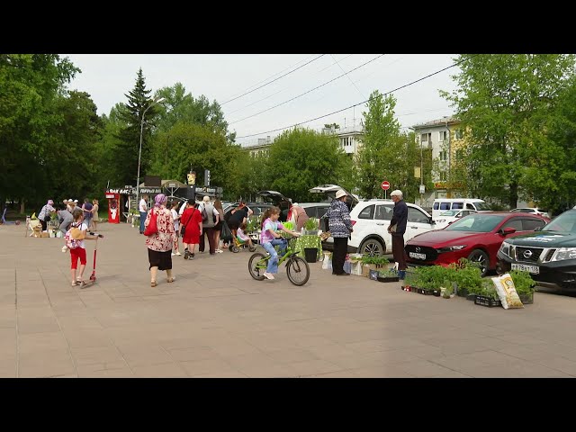 Ангарчане реализуют проект «Природное земледелие»