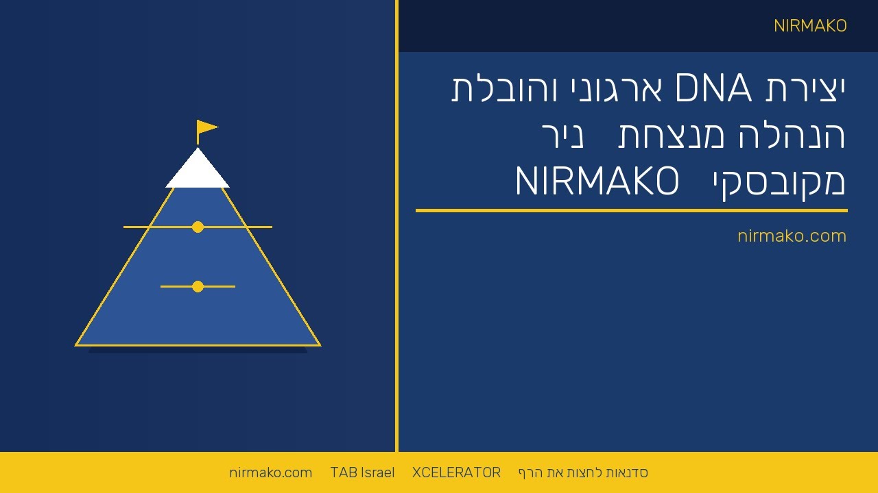 אסטרטגיות מנהיגות מתקדמות