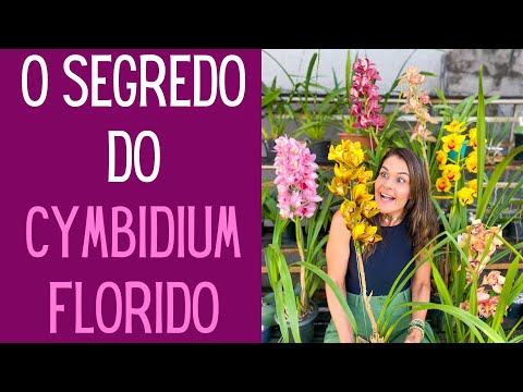 , title : 'ORQUÍDEAS: Faça sua Orquídea Cymbidium florescer novamente com essas 4 dicas'