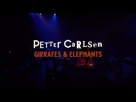 Petter Carlsen - Giraffes & Elephants (live)
