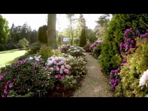 Aus Lust am Garten - Parklandschaft Ammerland